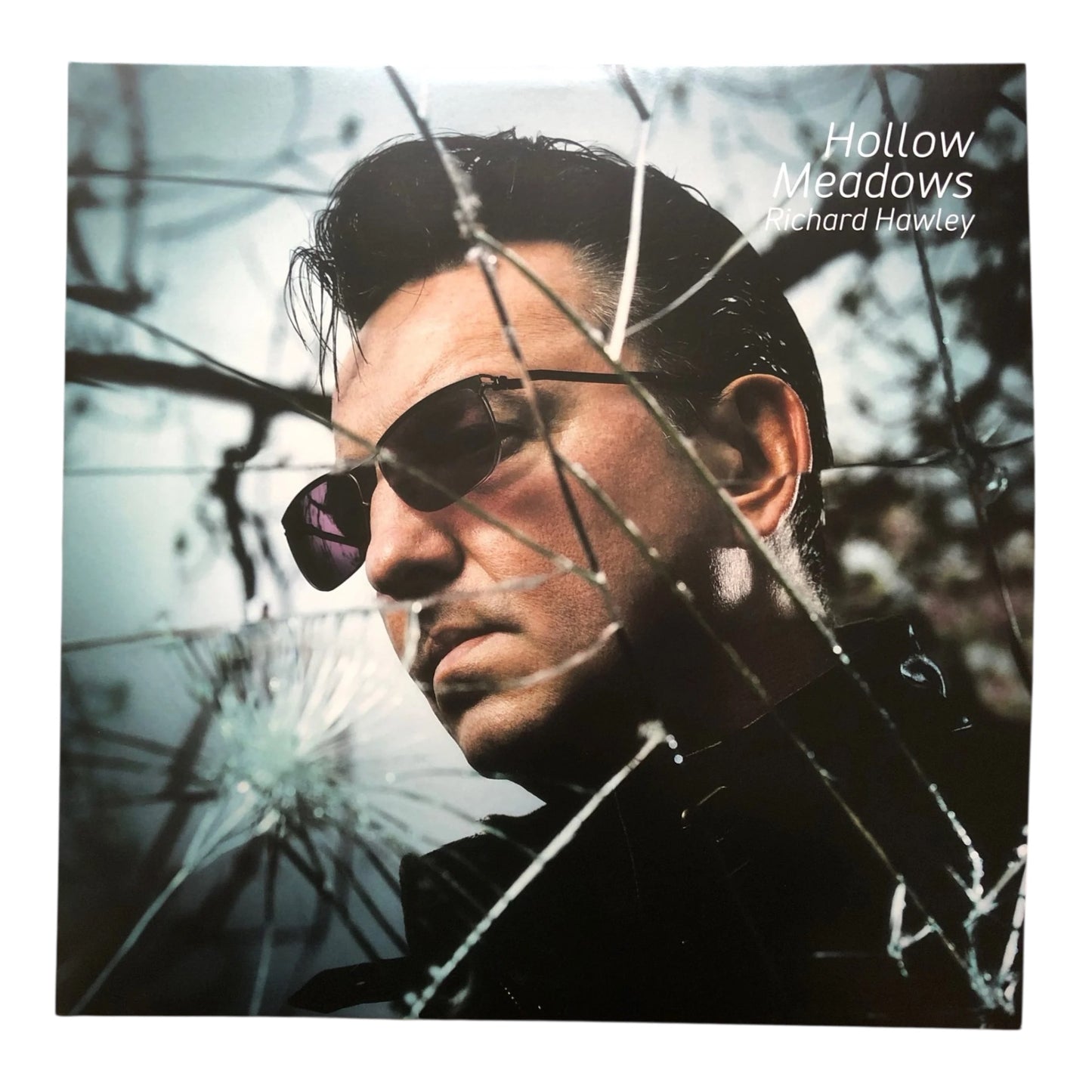 Hollow Meadows Vinyl (2019)