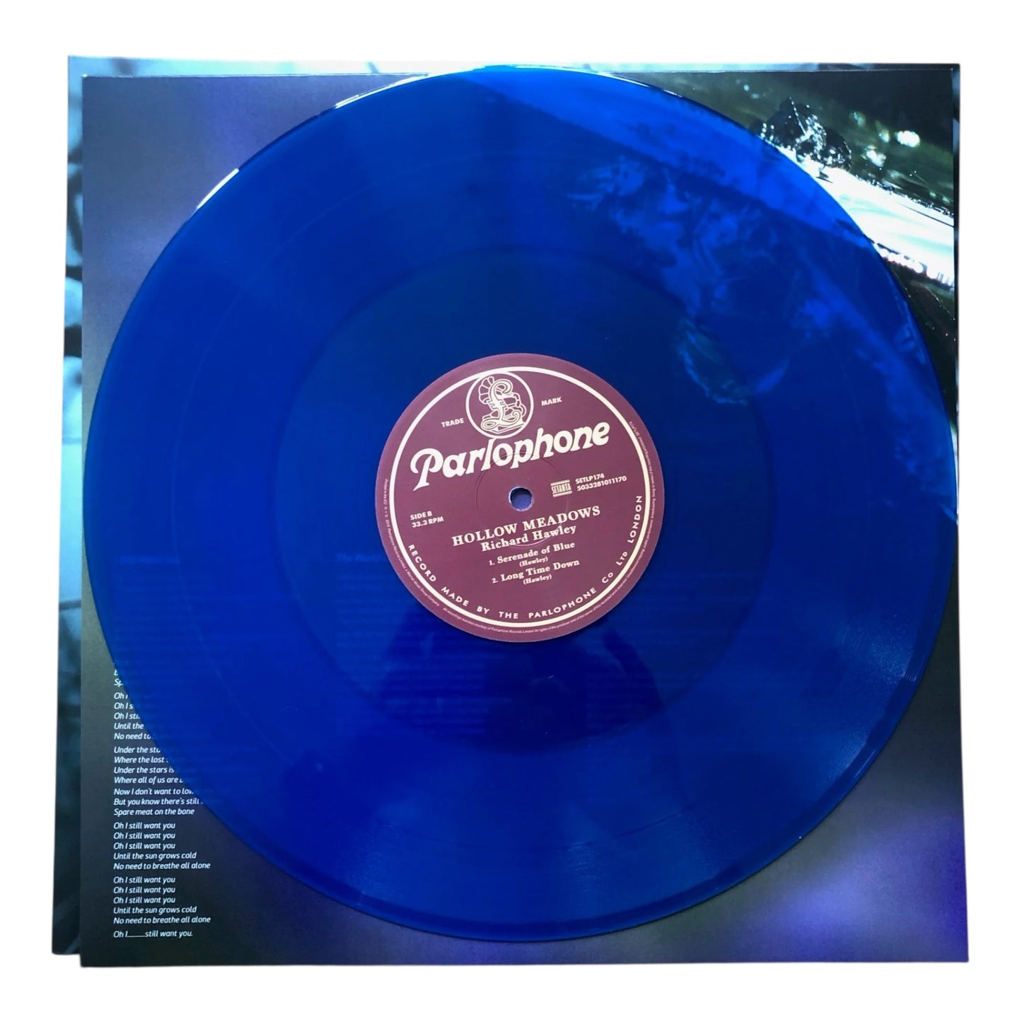 Hollow Meadows Vinyl (2019)